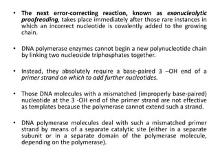 Incorrect Dna Replication 9 DNA replication, repair , recombination | PPTX