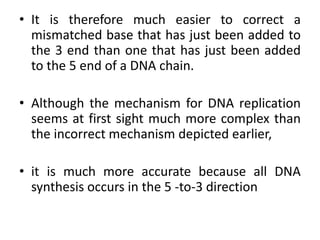 Incorrect Dna Replication 9 DNA replication, repair , recombination | PPTX