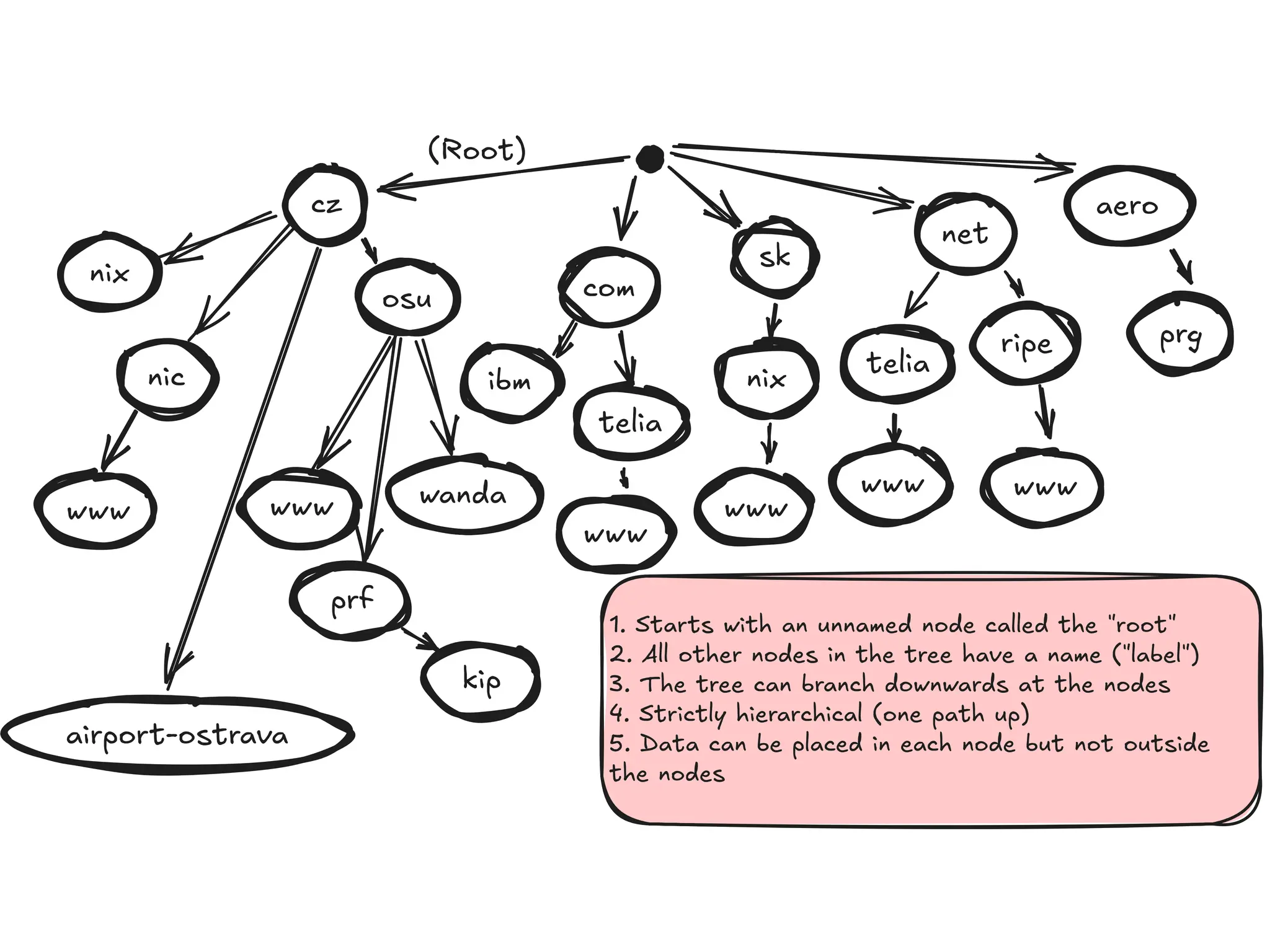 cz
(Root)
1. Starts with an unnamed node called the "root"
2. All other nodes in the tree have a name ("label")
3. The tree can branch downwards at the nodes
4. Strictly hierarchical (one path up)
5. Data can be placed in each node but not outside
the nodes
com
sk
net
aero
prg
airport-ostrava
osu
www
nic
www
prf
kip
ripe
wanda
ibm
telia
telia
www
www www
nix
nix
www
 