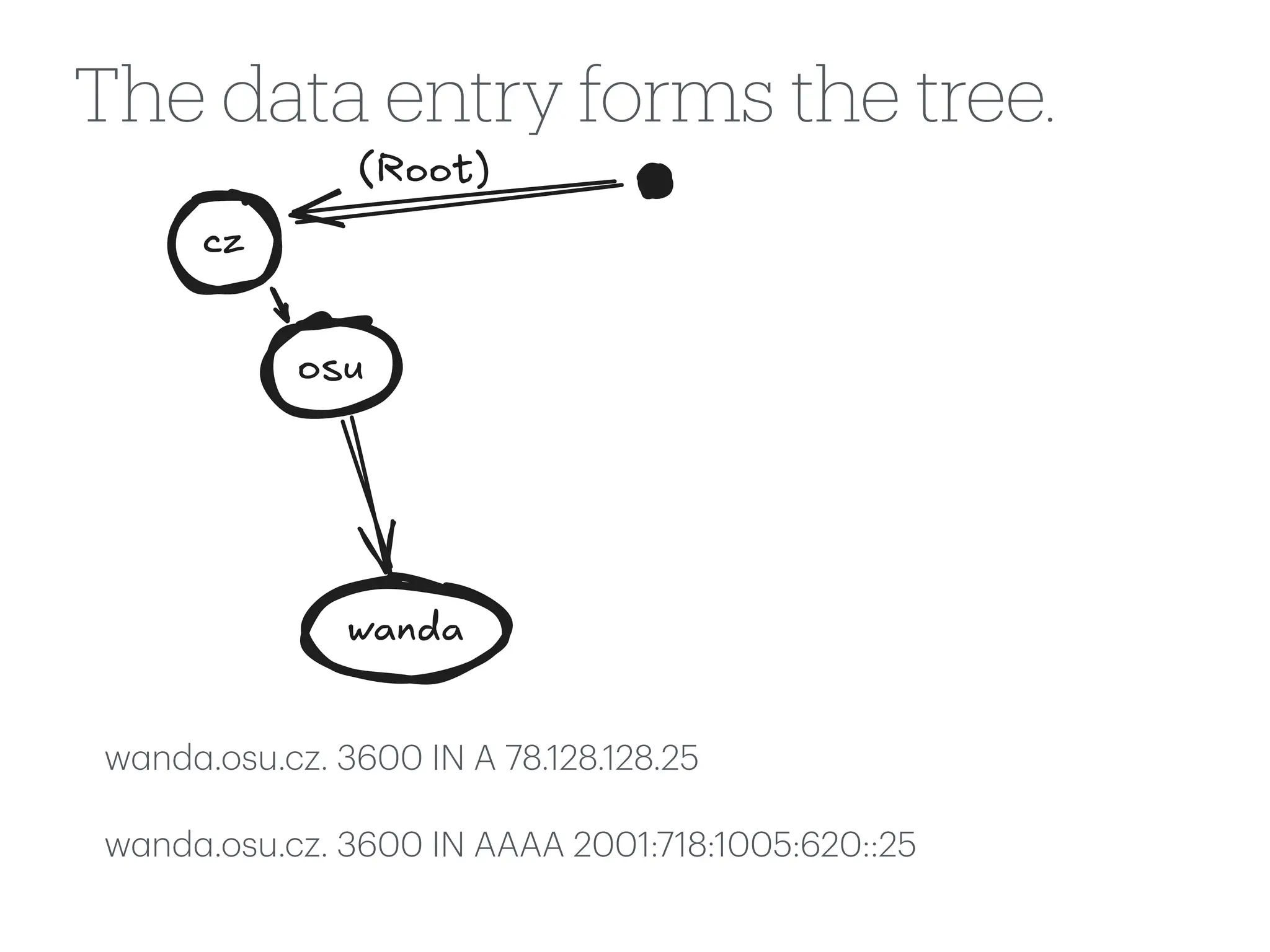 cz
(Root)
osu
wanda
The data entry forms the tree.
w
a
nd
a
.osu.cz. 3600 IN A 78.128.128.25
w
a
nd
a
.osu.cz. 3600 IN AAAA 2001:718:1005:620::25
 