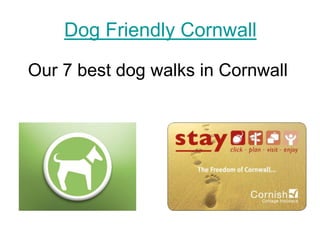 Dog Friendly Cornwall Our 7 best dog walks in Cornwall   