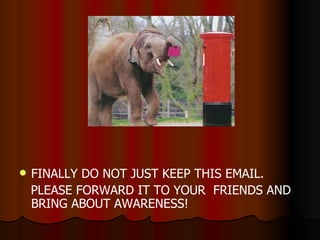 FINALLY DO NOT JUST KEEP THIS EMAIL. PLEASE FORWARD IT TO YOUR  FRIENDS AND BRING ABOUT AWARENESS! 