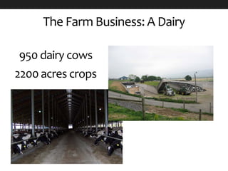 The Farm Business: A Dairy
950 dairy cows
2200 acres crops
 
