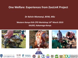 One Welfare: Experiences from ZooLinK Project
Dr Kelvin Momanyi, BVM, MSc
Western Kenya KVA CPD Workshop 14th March 2019
KALRO, Kakamega-Kenya
 
