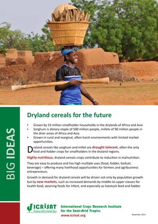 BIG IDEAS

Dryland cereals for the future
▪▪
▪▪
▪▪

D

Grown by 33 million smallholder households in the drylands of Africa and Asia
Sorghum is dietary staple of 500 million people, millets of 90 million people in
the drier areas of Africa and Asia.
Grown in rural and marginal, often harsh environments with limited market
opportunities.
ryland cereals like sorghum and millet are drought tolerant, often the only
food and fodder crops for smallholders in the dryland regions.

Highly nutritious, dryland cereals crops contribute to reduction in malnutrition.
They are easy to produce and has high multiple uses (food, fodder, biofuel,
beverage) – offering many livelihood opportunities for farmers and agribusiness
entrepreneurs.
Growth in demand for dryland cereals will be driven not only by population growth
but by new markets, such as increased demands by middle-to-upper classes for
health food, weaning foods for infant, and especially as livestock feed and fodder.

Science with a human face

www.icrisat.org

November 2013

 