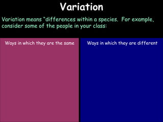 Variation And Classification Drawing Examples 7 d variation and classification | PPT