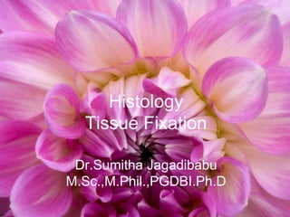 Histology
Tissue Fixation
Dr.Sumitha Jagadibabu
M.Sc.,M.Phil.,PGDBI.Ph.D
 