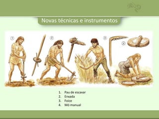Novas técnicas e instrumentos
1. Pau de escavar
2. Enxada
3. Foice
4. Mó manual
 