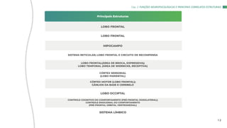 Principais Estruturas
LOBO FRONTAL
LOBO FRONTAL
HIPOCAMPO
SISTEMA RETICULAR; LOBO FRONTAL E CIRCUITO DE RECOMPENSA
LOBO FRONTAL(ÁREA DE BROCA, EXPRESSIVA);
LOBO TEMPORAL (ÁREA DE WERNICKE, RECEPTIVA)
CÓRTEX SENSORIAL
(LOBO PARIENTAL)
CÓRTEX MOTOR (LOBO FRONTAL);
GÂNLIOS DA BASE E CEREBELO
LOBO OCCIPTAL
CONTROLE COGNITIVO DO COMPORTAMENTO (PRÉ-FRONTAL DOSOLATERAL);
CONTROLE EMOCIONAL DO COMPORTAMENTO
(PRÉ-FRONTAL ORBITAL VENTROMEDIAL)
SISTEMA LÍMBICO
Cap. 2: FUNÇÕES NEUROPSICOLÓGICAS E PRINCIPAIS CORRELATOS ESTRUTURAIS
1 2
 
