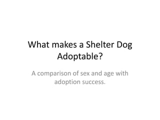 What makes a Shelter Dog
Adoptable?
A comparison of sex and age with
adoption success.
 