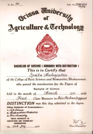 Bsc certificate