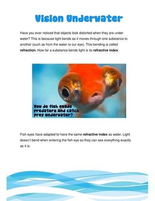 Have you ever noticed that objects look distorted when they are under
water? This is because light bends as it moves through one substance to
another (such as from the water to our eye). This bending is called
refraction. How far a substance bends light is its refractive index.
Fish eyes have adapted to have the same refractive index as water. Light
doesn’t bend when entering the fish eye so they can see everything exactly
as it is.
 