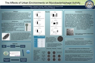 The Affects of Urban Environments on Mycobacteriophage Activity
Katherine Milliken, Madeline Gerwig, Jeffrey Migliozzi and Hanna Cioffi
SEA-PHAGES Program at the University of Pittsburgh
Abstract
The goal of our research was to investigate the effects of urban environmental
influences on Mycobacteriophage propogation. We hypothesized that the prescence of urban
enivronmental substances would decrease the propogation of phages in soil. We plated and
harvested lysate from Mycobacteriophage Cambiare. Then group members analyzed and
established the titer for plaque forming units of Mycobacteriophage Cambiare under
controlled laboratory setting. We then compared the titer of the phage when exposed to
varying concentrations of common urban environmental influences found in soil, such as road
salt, fertilizer and pesticide. Using our results, we were able to determine that the presence of
these substanceslowered the titer of Mycobacteriophage Cambiare.
Introduction
Bacteriophages are specific viruses that infect bacteria. The
phages then use the host they infected to reproduce. Phages are the
most diverse population of life on this Earth. There are more
bacteriophages than all other living organisms combined. There are 1031
bacteriophage particles in the biosphere
The purpose of our research is to investigate the influences of
urban environments on phage propagation through:
• Identification of uninfluenced phage qualities
• Incubation with urban environmental solution
• Comparison of phage propagation via titer with and without urban
influences
Methods
Conclusions
Future Direction
Acknowledgements and References
In future experiments, we would like to analyze the effects of urban
environmental influences further. We would like to analyze and compare plaque
morphologies as well as phage morphologies through the use of an
electromagnetic microscope. Additionally, we would like to analyze and compare
the phage genome to investigate influence on a genetic level.
Figure 1: Basic structure
of a mycobacteriophage
On a much broader scale, bacteriophage research is
important for the medical community. New research suggests
that using bacteriophages for treatment of bacterial infections, or
phage therapy, has the potential to be effective for patients.
Because many bacteria are becoming resistant to current
antibiotics, the need for effective phage therapy is more
important than ever. Examples of infections that could potentially
be treated by bacteriophages include Mycobacterium
tuberculosis and Mycobacterium avium.
Fig. 2: Bacteriophages infecting their host bacterium
Webbed
Plate
Serial Dilution Quick and
Dirty Titer
Repeat Dilutions/
Quick and Dirty
Titers with Urban
Solutions
Observations from
Plates with Urban
Solutions
Concentration in
Plaque forming
units/ml (PFU/ml)
Concentration in
Plaque forming
units/ml (PFU/ml)
% mass sample in
solution
Trial 1 Trial 2
Control 2.0E8 2.4E8
pesticide
1% 1.6E8 4.8E7
5% 8.0E6 1.2E7
25% 1.4E7 2.0E7
Fertilizer
1% N/A N/A
5% 1.4E7 1.2E7
25% 1.0E7 8.0E6
Salt
1% 2.2E7 2.0E7
5% 1.2E7 1.4E7
25% 1.8E7 1.6E7
Figure 6: This table illustrates the results
from the trials in quantitative values. All titer
quantities were evaluated from a 10^-4
dilution of Cambiare lysate.
1) "Group # 1 Mycobacteriophages Presentation." Group # 1 Mycobacteriophages
Presentation. N.p., n.d. Web. 23 Nov. 2014.
2) "UW Biology ENews - Fall 2007." UW Biology ENews - Fall 2007. N.p., n.d.
Web. 23 Nov. 2014.
3) Hatfull, Graham. BioSci 0058/0068 Lab Manual 2014-2015. Science Education
Alliance’s Phage Hunters Advancing Genomics and Evolutionary Science., n.d.
9) Electron micrograph of Cambiare unaltered from phagesdb.org
Figure 7: This photograph
represents the quick and dirty
titer plate for Cambiare without
substances applied. The titer
from this sample served as the
control for our results.
Figure 8: This table
represents titer
plates from phage
Cambiare
incubated in
different
concentrations of
the three urban
samples, and then
plated in different
dilutions up
through 10-4.
Road Salt Pesticide Fertilizer
1% urban
solution by
mass
5% urban
solution by
mass
25% urban
solution by
mass
Special acknowledgements to Dr. Graham Hatfull, Dr. Welkin Pope, Dr. Sarah
Grubb, Dr. Marcie Warner and the rest of the University of Pittsburgh SEA-
PHAGES team for the support and instruction over the course of this experiment.
Due to M. smegmatis
contamination, results
were not conclusive.
It appears that each urban solution has the same effect on
Cambiare’s titer. Statistical significance was not found between
the urban solutions at any concentration. The results hint at a
concentration threshold. It appears that any concentration of
urban solution between 5% and 25% will equally inhibit phage titer;
however once the concentration is lowered to 1%, the titer
significantly increases. Significant difference was found between
the 1% and 5% salt solution. This correlation does not hold true to
the pesticide solutions, but is perhaps due to the large variation of
the 1% titer reading. To further demonstrate the threshold, no
statistical significance was found between the control titer and that
of the 1% urban solutions. Due to contamination of the 1% f
fertilizer solution, it could not be
included in the analysis
Figure 9: Electron micrograph of phage Cambiare
in an unaltered state.
Results
 