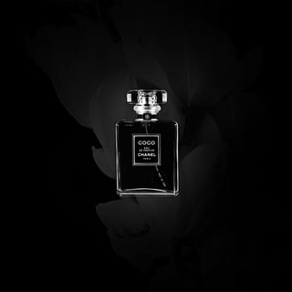 Perfume_beautyinDark_small
