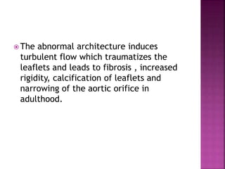  The abnormal architecture induces
turbulent flow which traumatizes the
leaflets and leads to fibrosis , increased
rigidity, calcification of leaflets and
narrowing of the aortic orifice in
adulthood.
 