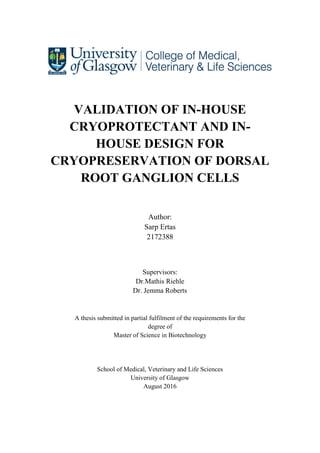 VALIDATION OF IN-HOUSE
CRYOPROTECTANT AND IN-
HOUSE DESIGN FOR
CRYOPRESERVATION OF DORSAL
ROOT GANGLION CELLS
Author:
Sarp Ertas
2172388
Supervisors:
Dr.Mathis Riehle
Dr. Jemma Roberts
A thesis submitted in partial fulfilment of the requirements for the
degree of
Master of Science in Biotechnology
School of Medical, Veterinary and Life Sciences
University of Glasgow
August 2016
 