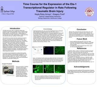 Time Course for the Expression of the Ets-1
Transcriptional Regulator in Rats Following
Traumatic Brain Injury
Kayla Ruby Arroyo1, Gregory Ford2
1Spelman College Biology Department
2Biology Department, Morehouse College
<
Introduction
Methods
Surgical Procedure
Traumatic brain injury (TBI) is a significant health issue
predicted to become the third leading cause of disease burden
globally by 2030. It is estimated that ~3 million persons in the
United States are living with long-term or lifelong effects of
traumatic brain injury (TBI). Approximately 1.7 million new TBIs
are sustained each year resulting in 53,000 deaths.
TBI results from an insult to the brain caused by an external
force (i.e. car accident, fall, motor vehicle accident). The
neurological injury associated with TBI occurs in two stages,
commonly termed primary and secondary injury. Primary injury
is the initial injury to brain tissue, caused by mechanical
disruption . This leads to a secondary injury mediated by
inflammation. Inflammation is the body’s normal defense
against foreign invasion or tissue damage. While this process is
designed to be beneficial in keeping the body healthy and re-
establishing homeostasis, during TBI this process becomes
uncontrolled leading to cell death. The inflammatory cascade is
commonly initiated by the alteration of transcription factors,
influencing groups of genes.
In a previous study, the lab found a number of transcription
factors that increased in RNA expression following TBI. The
goal of this study to examine the protein expression of two of
these transcription factors, Oct-1 and Ets-1, in the rat brain
following TBI. This study will give incite into the transcriptional
regulation of inflammation following TBI.
Adult rats received a unilateral
controlled cortical impact
(CCI) and were sacrificed 3,
12 and 24h post-injury. The
ipsilateral hemi-brain tissue at
the site of the injury, the
corresponding contralateral
hemi-brain tissue, and naïve
(control) brain tissue were
used for histological analysis.
Controlled Cortical impact Device
D. F.E.
Conclusion
Acknowledgments
This research was made possible with the sponsorship of Spelman
College, MBRS-RISE and the NSF. Special thanks to Dr. Bryon Ford
and the Fordlab at Morehouse School of Medicine where this work
was performed.
After the TBI on the injured side, the time points of 3hr, 12hr,
and 24hr increased Ets-1 expression level. Therefore, the
results of this study that show an increase expression of Ets-1
could lead to the identification of Ets-1 and other transcription
factors as transcriptional regulators of inflammation following
trauma.
• Test for additional time points (6hr, 72hr, and 1week)
• Test other transcriptional factors including Oct-1 and Stat5,
which were also shown to increase in RNA expression in
previous studies.
• To quantify the increase expression level of Ets-1 at the
3hr, 12hr, and 24hr time points.
References
1. Zaloshnja E, Miller T, Langlois JA, Selassie AW: Prevalence of long-term
disability from traumatic brain injury in the civilian population of the United
States, 2005. J Head Trauma Rehabil 2008, 23(6):394–400.
2. Faul M, Xu L, Wald MM, Coronado VG: Traumatic brain injury in the United
States: emergency department visits, hospitalizations and deaths 2002–2006.
Atlanta (GA): Centers for Disease Control and Prevention, National Center for
injury Prevention and Control; 2010.
3. Coronado VG, Xu L, Basavaraju SV, McGuire LC, Wald MM, Faul MD,
Guzman BR, Hemphill JD: Surveillance for traumatic brain injury-related
deaths–United States, 1997–2007. MMWR Surveill Summ 2011, 60(5):1–32.
4. Selassie AW, Zaloshnja E, Langlois JA, Miller T, Jones P, Steiner C:
Incidence of long-term disability following traumatic brain injury
hospitalization,United States, 2003. J Head Trauma Rehabil 2008, 23(2):123–
131.
Figure 2. Ets-1 expression increased on the ipsilateral side at the site of injury
and in the surrounding areas (D)3-hours , (E) 12-hours and (F) 24-hours
after injury in rats following TBI. Note the damage to the tissue which is a
result of the physical injury which defines the injured area. All images are
captured at 20X.
Immunohistology
Following traumatic brain injury, rats were anesthetized with 2% isoflurane.
Rats underwent transcardial perfusion with 30% saline, cold 4%
Paraformaldehyde in PBS solution for 30 minutes, respectively. Brains were
be removed; post-fixed in buffered 4% paraformaldehyde for 1 day, and
cryoprotected in 30% sucrose for 5 days. Brains was then frozen in Optimal
Cutting Temperature compound (Tissue-Tek) and stored until in -80°C.
Coronal section 20 µm thick were cut with cryostat and mounted on slides.
Sections mounted on slides were stored at -80°C until further processed.
Upon use of section, the slides were brought to room temperature for 30
minutes. Sections were labeled with Ets-1(1:200) primary antibodies and
alexaflour 594 secondary antibody (1:500).
Ipsilateral side
Figure 1. (A) Indicates the location images were captured in this study. The blue squares
represent the area of the cortex imaged. Ipsilateral side refers to the side of the injury
and contralateral side refers to the opposite side of the brain which was used as a control
for this study. (B) DAPI staining which shows live cells at the cortex in the ipsilateral side.
(C) The control tissue section in the contralateral side in negative for Ets-1 stain. All
images are captured at 20X.
A. B. C.Contralateral side
Future Work
 
