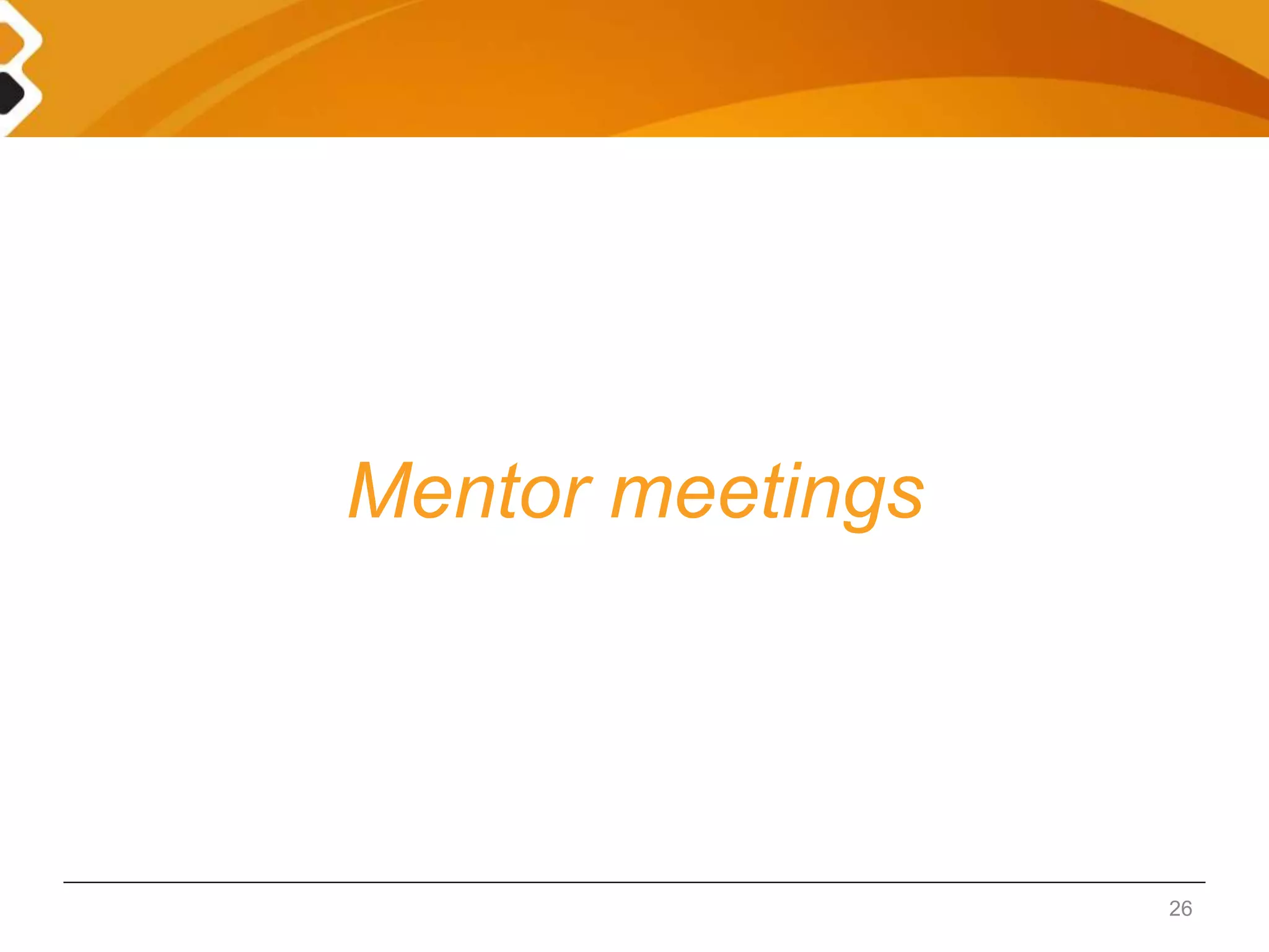 Mentor meetings 
26 
 