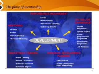 The place of mentorship 
12 
 