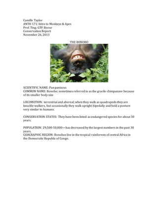 Camille Taylor
ANTH 171: Intro to Monkeys & Apes
Prof. Ting; GTF Boose
Conservation Report
November 26, 2013
THE BONOBO
SCIENTIFIC NAME: Pan paniscus
COMMON NAME: Bonobo; sometimes referred to as the gracile chimpanzee because
of its smaller body size
LOCOMOTION: terrestrial and aboreal; when they walk as quadrupeds they are
knuckle-walkers, but occasionally they walk upright bipedally and hold a posture
very similar to humans.
CONSERVATION STATUS: They have been listed as endangered species for about 30
years.
POPULATION: 29,500-50,000—has decreased by the largest numbers in the past 30
years.
GEOGRAPHIC REGION: Bonobos live in the tropical rainforests of central Africa in
the Democratic Republic of Congo.
 