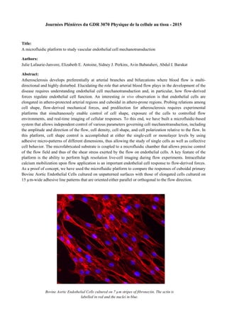 Journées Plénières du GDR 3070 Physique de la cellule au tissu - 2015
Title:
A microfluidic platform to study vascular endothelial cell mechanotransduction
Authors:
Julie Lafaurie-Janvore, Elizabeth E. Antoine, Sidney J. Perkins, Avin Babataheri, Abdul I. Barakat
Abstract:
Atherosclerosis develops preferentially at arterial branches and bifurcations where blood flow is multi-
directional and highly disturbed. Elucidating the role that arterial blood flow plays in the development of the
disease requires understanding endothelial cell mechanotransduction and, in particular, how flow-derived
forces regulate endothelial cell function. An interesting in vivo observation is that endothelial cells are
elongated in athero-protected arterial regions and cuboidal in athero-prone regions. Probing relations among
cell shape, flow-derived mechanical forces, and predilection for atherosclerosis requires experimental
platforms that simultaneously enable control of cell shape, exposure of the cells to controlled flow
environments, and real-time imaging of cellular responses. To this end, we have built a microfluidic-based
system that allows independent control of various parameters governing cell mechanotransduction, including
the amplitude and direction of the flow, cell density, cell shape, and cell polarization relative to the flow. In
this platform, cell shape control is accomplished at either the single-cell or monolayer levels by using
adhesive micro-patterns of different dimensions, thus allowing the study of single cells as well as collective
cell behavior. The microfabricated substrate is coupled to a microfluidic chamber that allows precise control
of the flow field and thus of the shear stress exerted by the flow on endothelial cells. A key feature of the
platform is the ability to perform high resolution live-cell imaging during flow experiments. Intracellular
calcium mobilization upon flow application is an important endothelial cell response to flow-derived forces.
As a proof of concept, we have used the microfluidic platform to compare the responses of cuboidal primary
Bovine Aortic Endothelial Cells cultured on unpatterned surfaces with those of elongated cells cultured on
15 µm-wide adhesive line patterns that are oriented either parallel or orthogonal to the flow direction.
Bovine Aortic Endothelial Cells cultured on 7 µm stripes of fibronectin. The actin is
labelled in red and the nuclei in blue.
 