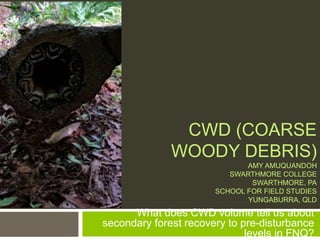 CWD (COARSE
WOODY DEBRIS)
AMY AMUQUANDOH
SWARTHMORE COLLEGE
SWARTHMORE, PA
SCHOOL FOR FIELD STUDIES
YUNGABURRA, QLD
What does CWD volume tell us about
secondary forest recovery to pre-disturbance
levels in FNQ?
 
