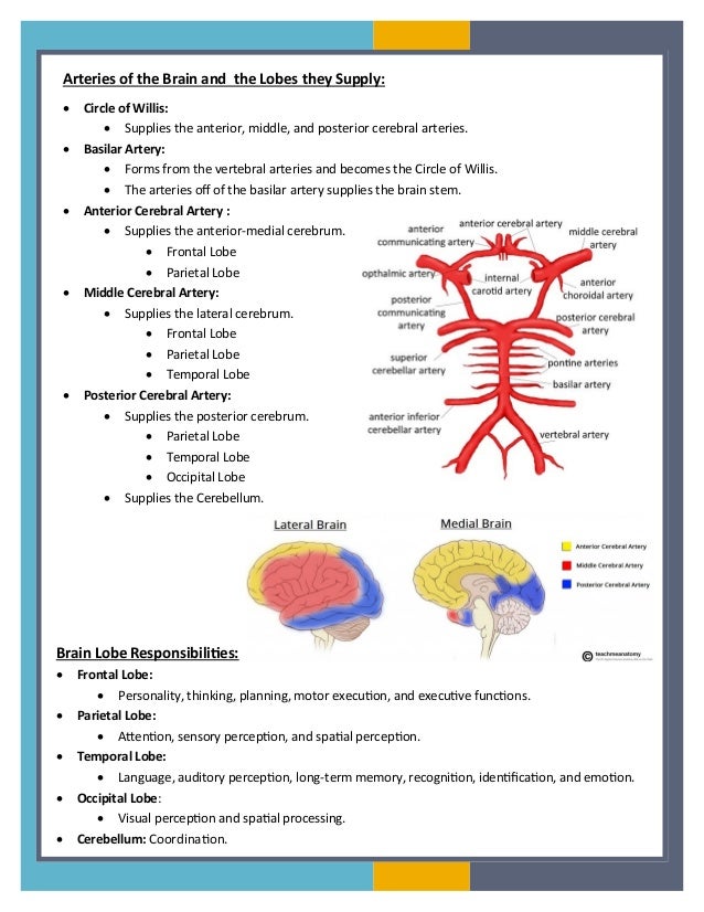 TBI Handout