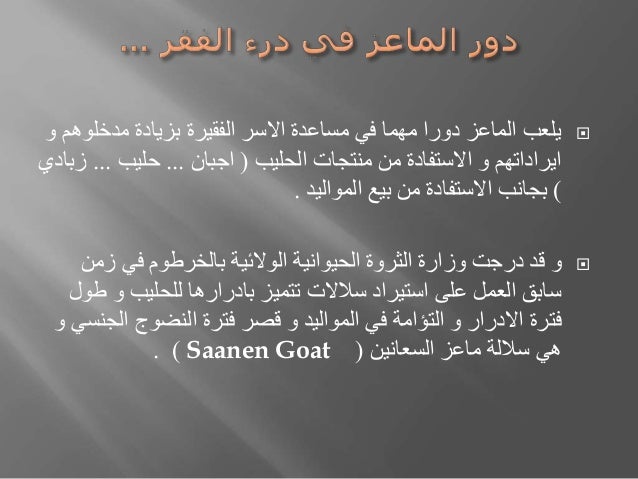 تجربة استيراد سلالة ماعز السعانين في السودان