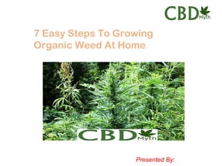 Presented By: cbdmyth.com
7 Easy Steps To Growing
Organic Weed At Home
 