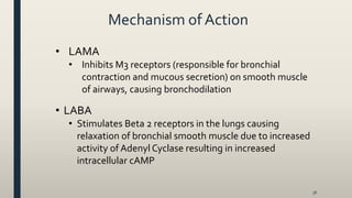 Mechanism of Action
• LAMA
• Inhibits M3 receptors (responsible for bronchial
contraction and mucous secretion) on smooth muscle
of airways, causing bronchodilation
• LABA
• Stimulates Beta 2 receptors in the lungs causing
relaxation of bronchial smooth muscle due to increased
activity of Adenyl Cyclase resulting in increased
intracellular cAMP
36
 