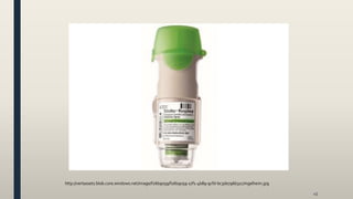 45
http://vertassets.blob.core.windows.net/image/f26b9059/f26b9059-17f1-4b89-9cfd-bc3de796b31c/ingelheim.jpg
 