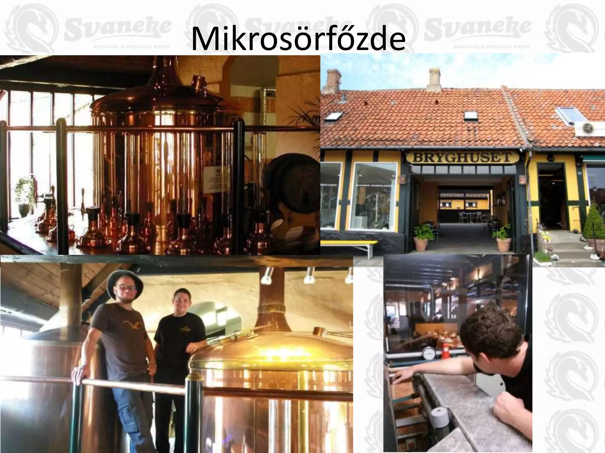 Mikrosörfőzde
 