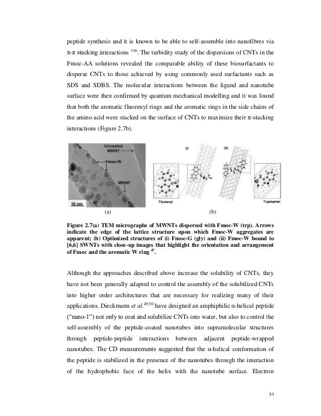 Thesis on biosurfactants