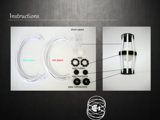 Instructions
```
blue pipes red pipes
short pipes
pipe connectors
egg
egg holder
egg bumpers
 