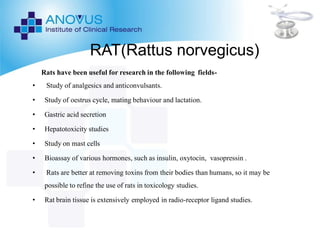 PRE-CLINICAL LAB ANIMALS ppt | PDF