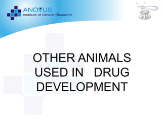 Drug Development Animals PRE-CLINICAL LAB ANIMALS ppt | PDF