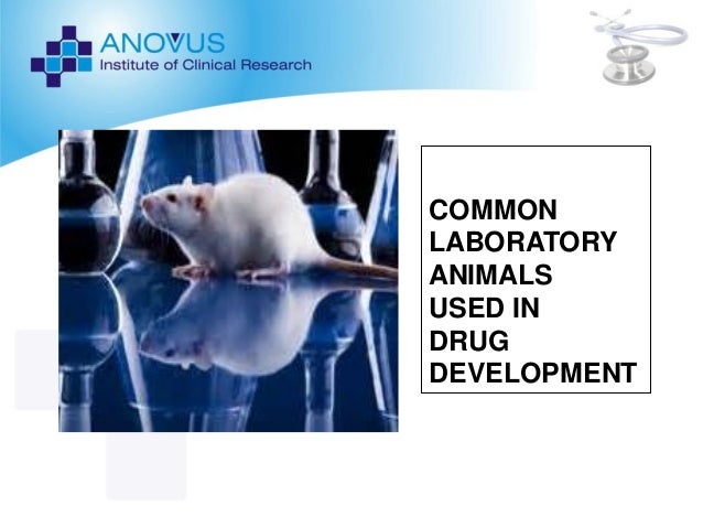 ppt lab