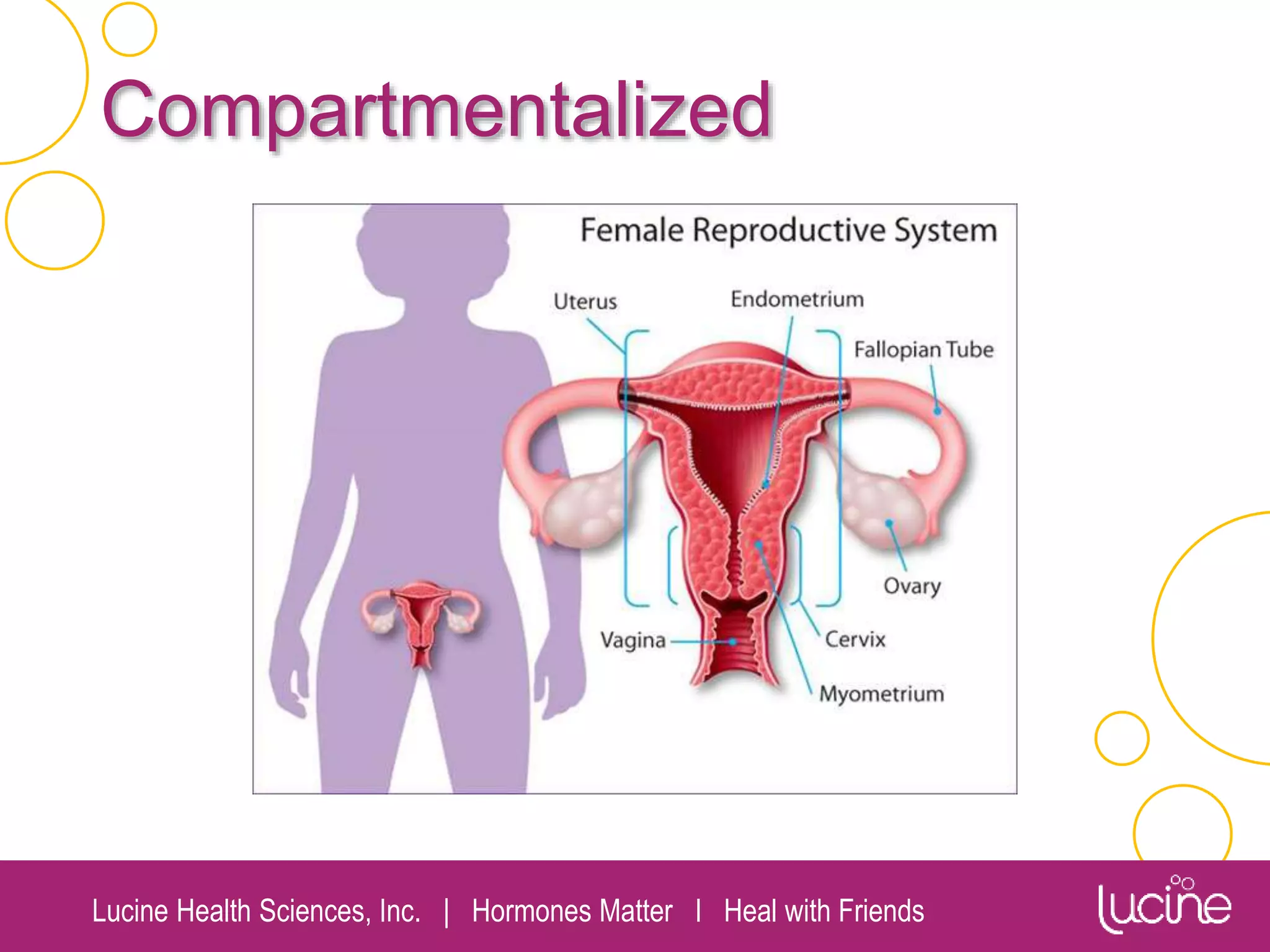 Lucine Health Sciences, Inc. | Hormones Matter I Heal with Friends
Compartmentalized
 