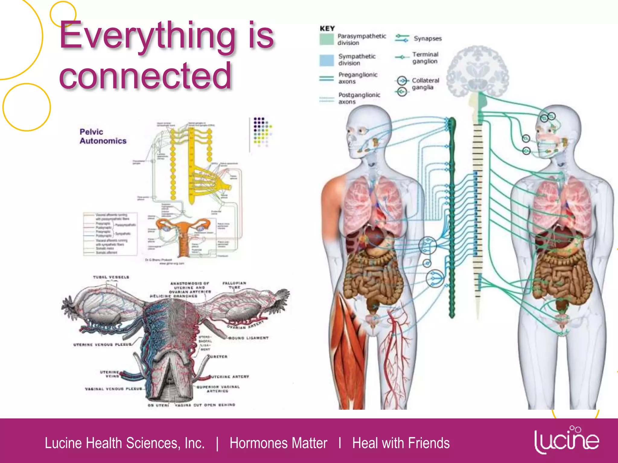 Lucine Health Sciences, Inc. | Hormones Matter I Heal with Friends
Everything is
connected
 