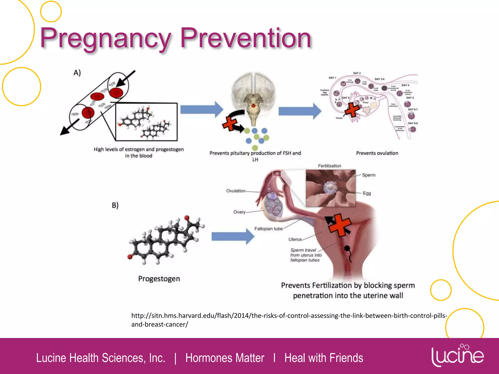 Lucine Health Sciences, Inc. | Hormones Matter I Heal with Friends
Pregnancy Prevention
http://sitn.hms.harvard.edu/flash/2014/the-risks-of-control-assessing-the-link-between-birth-control-pills-
and-breast-cancer/
 