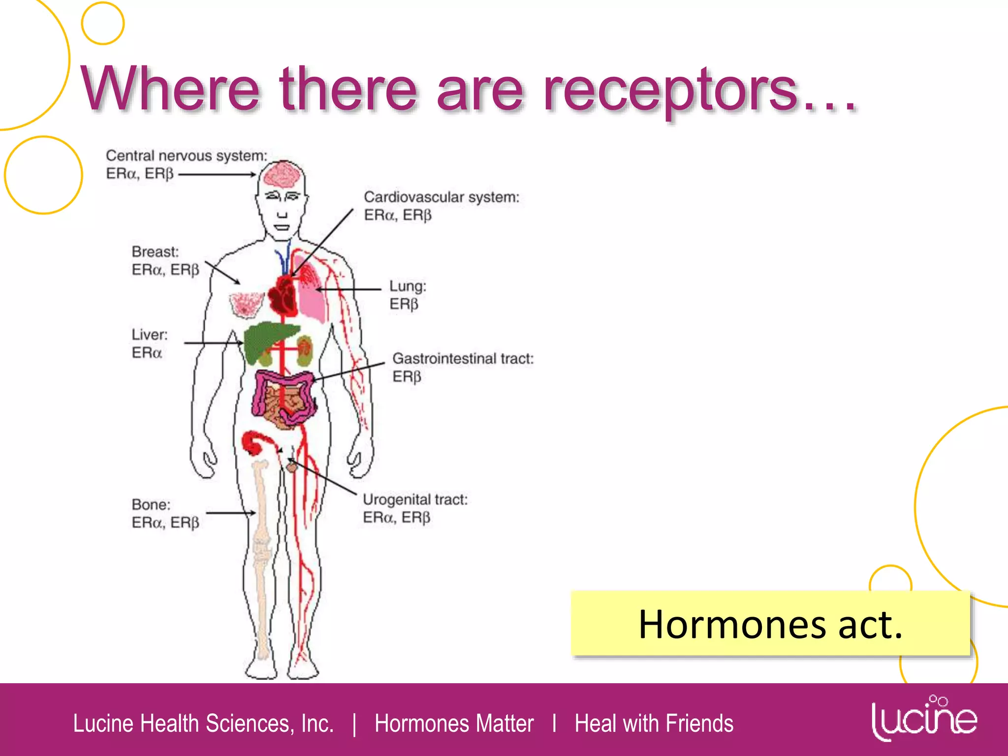 Lucine Health Sciences, Inc. | Hormones Matter I Heal with Friends
Where there are receptors…
Hormones act.
 