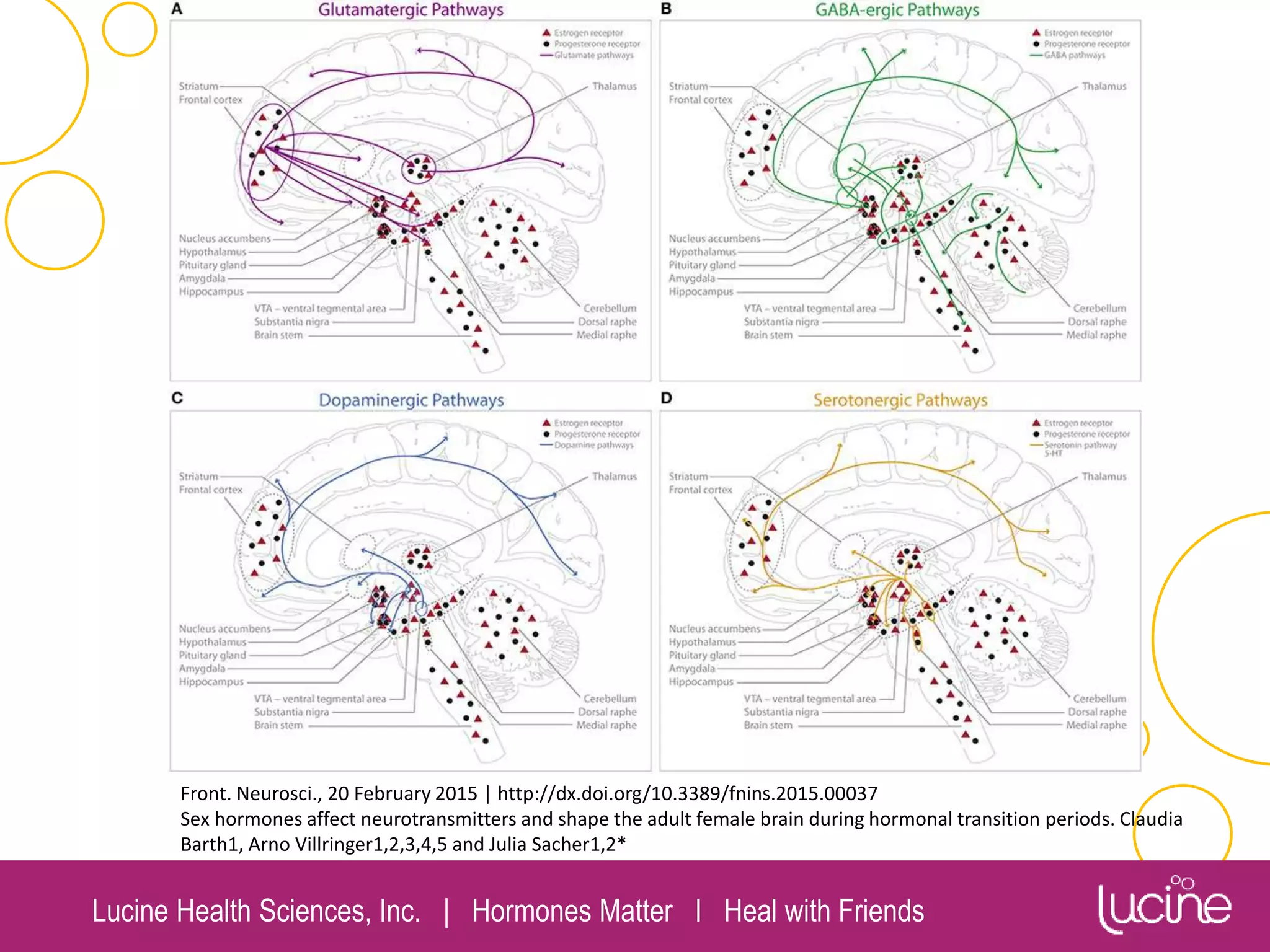 Lucine Health Sciences, Inc. | Hormones Matter I Heal with Friends
Front. Neurosci., 20 February 2015 | http://dx.doi.org/10.3389/fnins.2015.00037
Sex hormones affect neurotransmitters and shape the adult female brain during hormonal transition periods. Claudia
Barth1, Arno Villringer1,2,3,4,5 and Julia Sacher1,2*
 