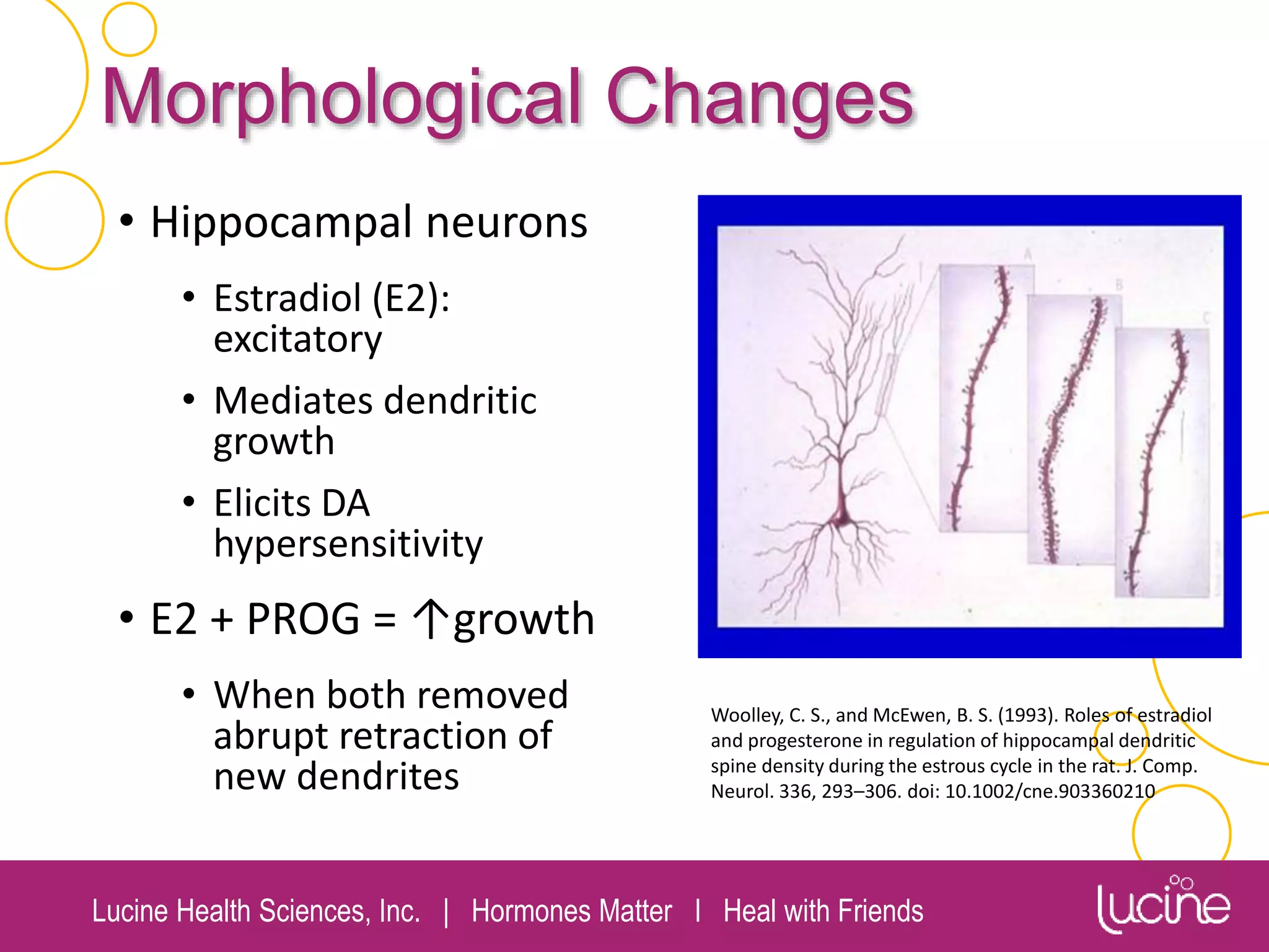 Lucine Health Sciences, Inc. | Hormones Matter I Heal with Friends
Morphological Changes
• Hippocampal neurons
• Estradiol (E2):
excitatory
• Mediates dendritic
growth
• Elicits DA
hypersensitivity
• E2 + PROG = ↑growth
• When both removed
abrupt retraction of
new dendrites
Woolley, C. S., and McEwen, B. S. (1993). Roles of estradiol
and progesterone in regulation of hippocampal dendritic
spine density during the estrous cycle in the rat. J. Comp.
Neurol. 336, 293–306. doi: 10.1002/cne.903360210
 