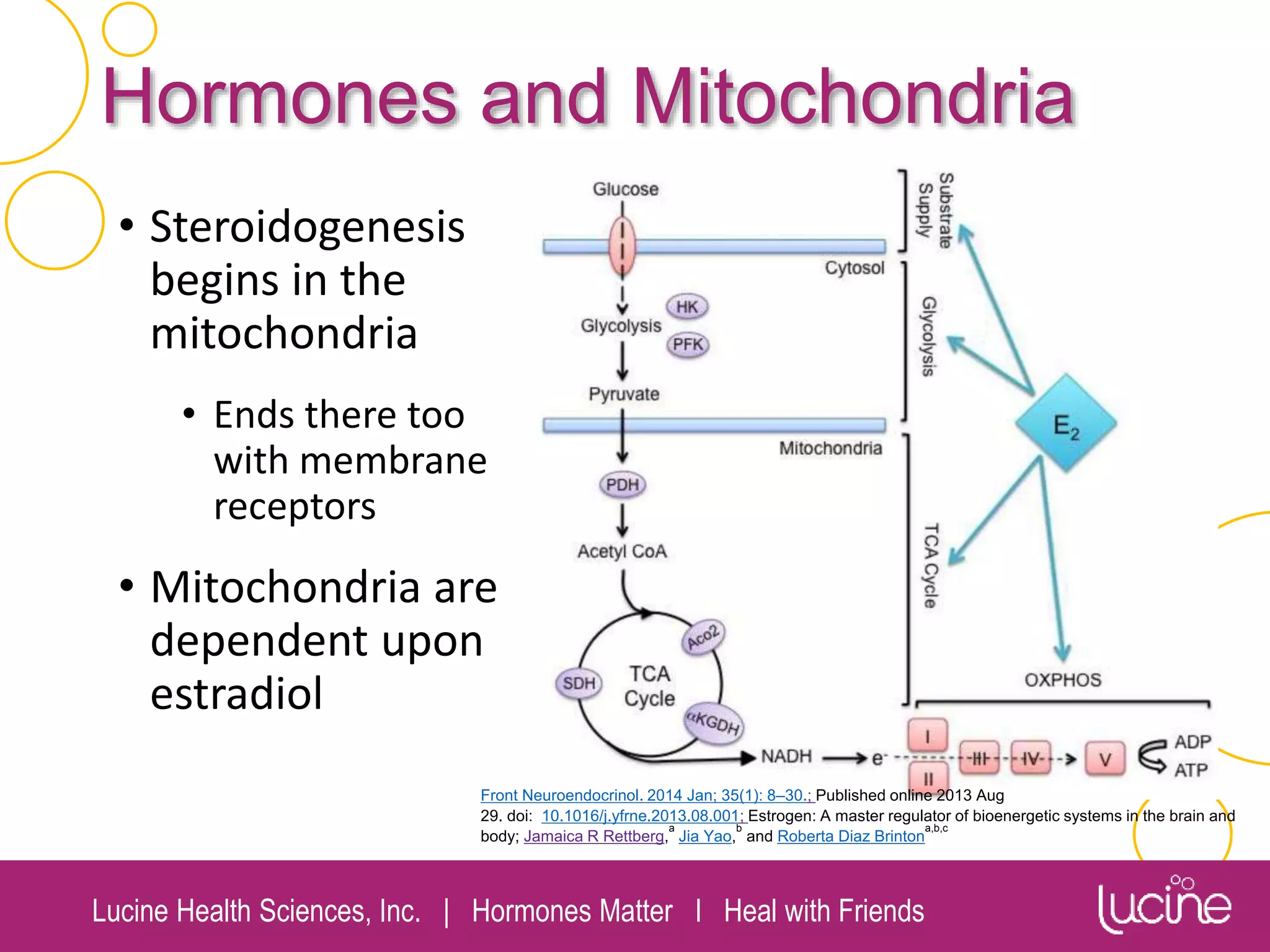 Lucine Health Sciences, Inc. | Hormones Matter I Heal with Friends
Hormones and Mitochondria
• Steroidogenesis
begins in the
mitochondria
• Ends there too
with membrane
receptors
• Mitochondria are
dependent upon
estradiol
Front Neuroendocrinol. 2014 Jan; 35(1): 8–30.; Published online 2013 Aug
29. doi: 10.1016/j.yfrne.2013.08.001; Estrogen: A master regulator of bioenergetic systems in the brain and
body; Jamaica R Rettberg,
a
Jia Yao,
b
and Roberta Diaz Brinton
a,b,c
 