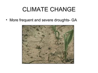 CLIMATE CHANGE
• More frequent and severe droughts- GA
 