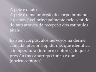 A pele e o tato
A pele é o maior órgão do corpo humano
e responsável principalmente pelo sentido
do tato através da recepção dos estímulos
táteis.
Existem corpúsculos nervosos na derme,
camada inferior à epiderme, que identifica
a temperatura (termorreceptores), toque e
pressão (mecanorrepectores) e dor
(nocirreceptores).
 
