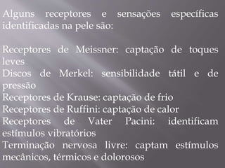 Alguns receptores e sensações específicas
identificadas na pele são:
Receptores de Meissner: captação de toques
leves
Discos de Merkel: sensibilidade tátil e de
pressão
Receptores de Krause: captação de frio
Receptores de Ruffini: captação de calor
Receptores de Vater Pacini: identificam
estímulos vibratórios
Terminação nervosa livre: captam estímulos
mecânicos, térmicos e dolorosos
 