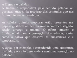 A língua e o paladar
A língua é responsável pelo sentido paladar ou
gustação através da recepção dos estímulos que nos
fazem diferenciar os sabores.
As células quimiorreceptoras estão presentes nas
papilas gustativas e identificam o sabor doce, salgado,
azedo, amargo e umami. O olfato também é
fundamental para a percepção dos sabores, assim
como a saliva que dissolve as substâncias e a
temperatura.
A água, por exemplo, é considerada uma substância
insípida, pois não desencadeia nenhuma sensação no
paladar.
 