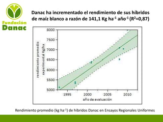 Experiencias de Fundación Danac para el fortalecimiento del sistema nacional de producción de semillas de maíz en Venezuela, Por Eduardo Graterol - DANAC