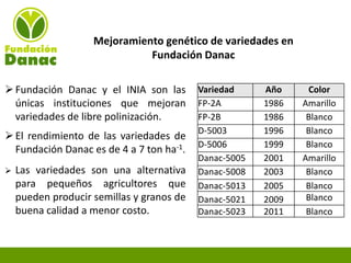 Experiencias de Fundación Danac para el fortalecimiento del sistema nacional de producción de semillas de maíz en Venezuela, Por Eduardo Graterol - DANAC
